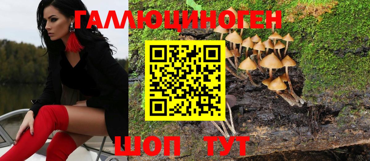 Псилоцибиновые грибы Psilocybine cubensis  Псилоцибиновые грибы Psilocybine cubensis  Каменск-Уральский  Вход с VPN 