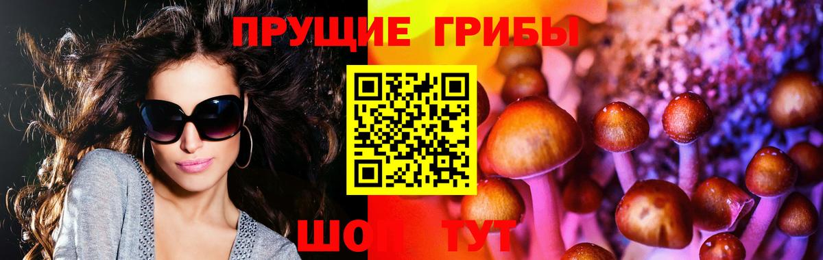 Псилоцибиновые грибы мицелий Каменск-Уральский